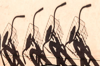 BICYCLES EVERYWHERE