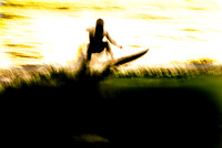 THE SURFER'S DREAM