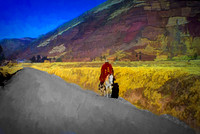 HEADED TOWARD THE MARKET - Chile