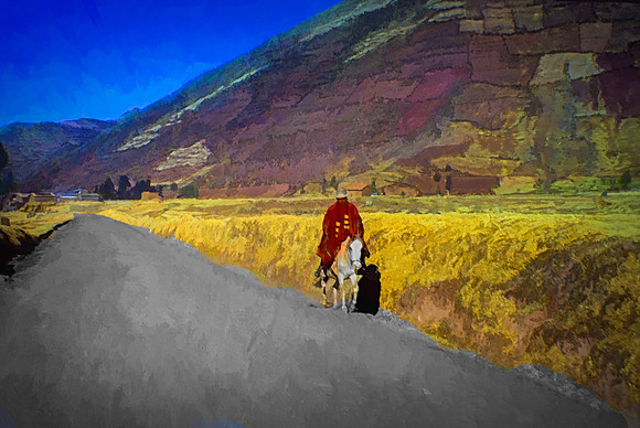 HEADED TOWARD THE MARKET - Chile