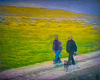 SPARKY'S WALK IN THE WILDFLOWERS