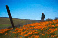 COWBOY IN FLOWERS
