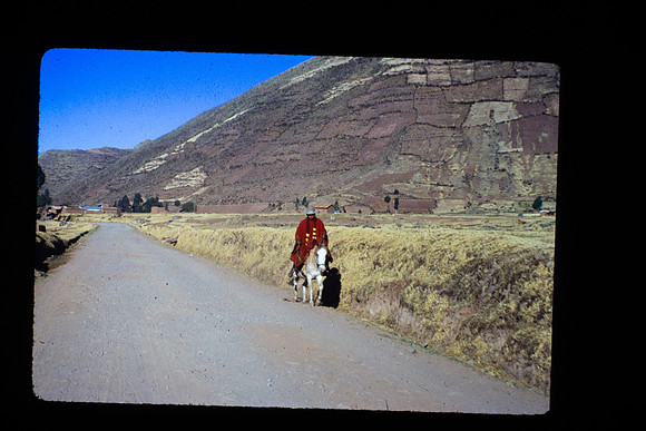 HEADED TOWARD THE MARKET - Chile
