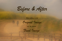 PROCESS TITLE CARD III