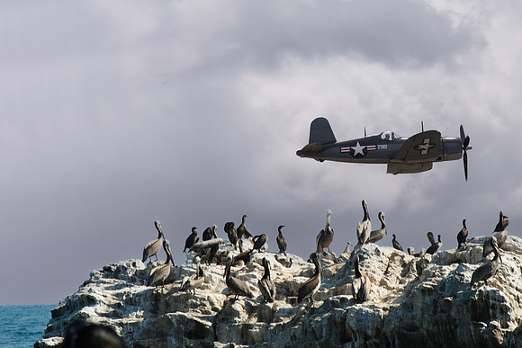 VOUGHT F4U-1 CORSAIR - PELICAN Compilation