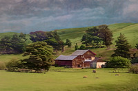 NOVATO FARMLAND