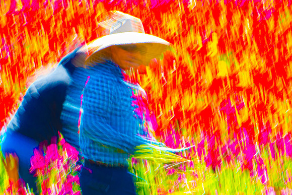 FLOWER GROWERS