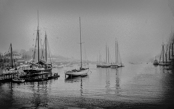 FOGGY MORNING