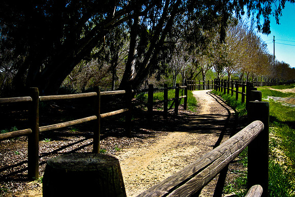 HORSE TRAIL - SOUTH FORK TRAIL