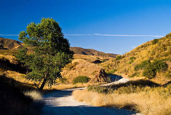 SIDE ROAD - SAN FRANCISQUITO CANYON