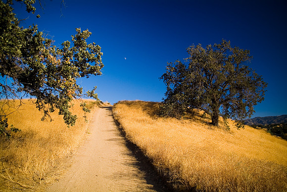 COLLEGE OF THE CANYONS CROSS COUNTRY TRAIL