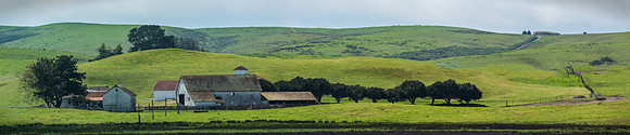 MARIN PASTORAL