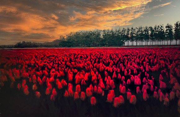 RED TULIPS BY A DISTANT ROAD