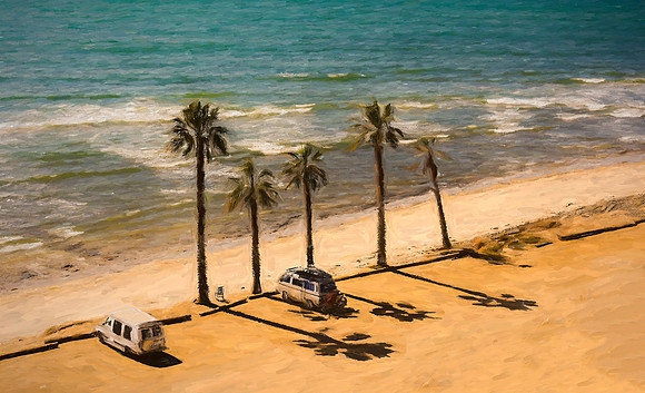 FIVE PALMS, TWO BUSSES, AND A CHAIR