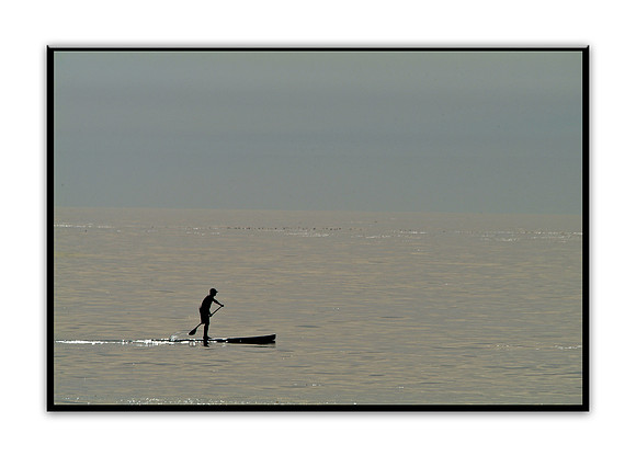 DSCF 5440 Lone Stand Up