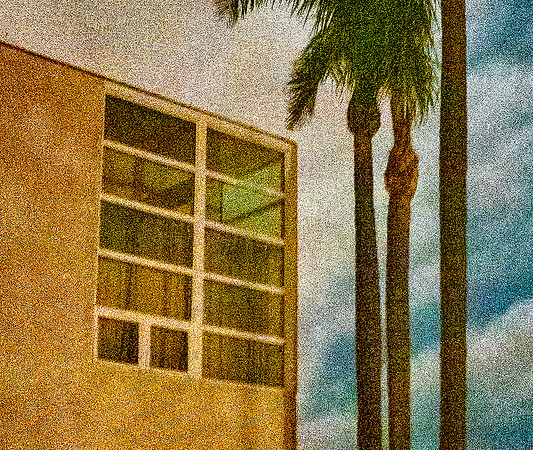 HOUSE AND PALMS