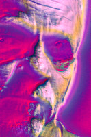 FRED SOLTAR - Metal Musician - Solarization Variation 3