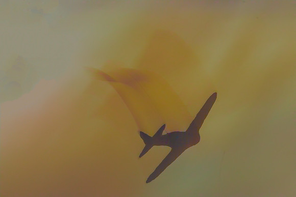GHOST PLANE