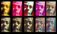 MULTIPLE ASPECTS OF FRED