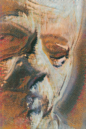 FRED SOLTAR - Metal Musician - Solarization and Texture Mix