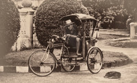 RICKSHAW AND THE SLEEPING DOG