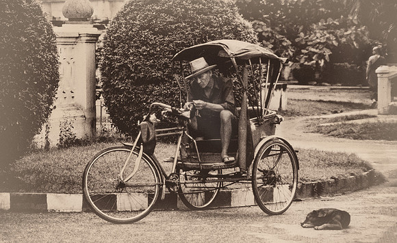 RICKSHAW AND THE SLEEPING DOG