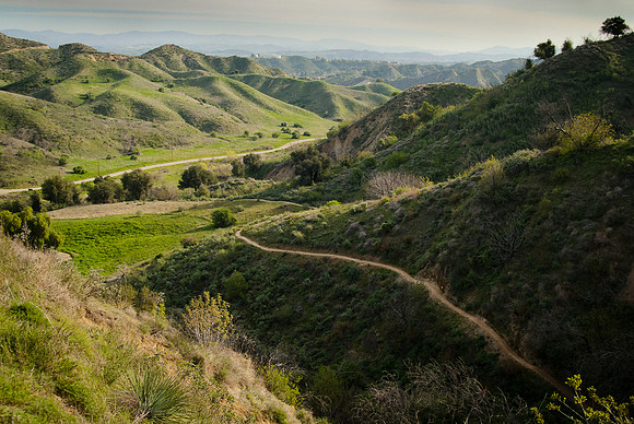 TOWSLEY CANYON MOUNTAIN TRAIL