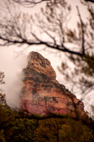 VIEW FROM A BACK YARD
