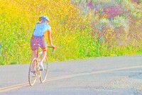 DSCF1256 Pointalist Bicycle 1