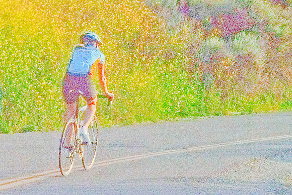 DSCF1256 Pointalist Bicycle 1