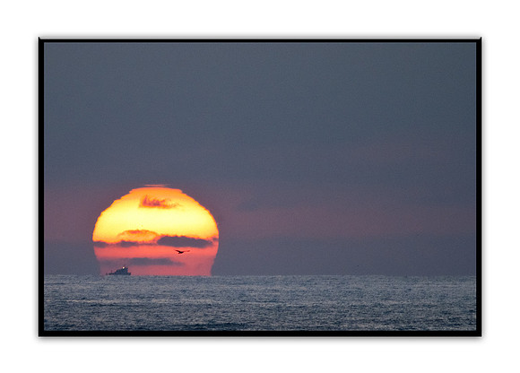 DSCF4231 Sunset Ball with Fishing Boat and Gull