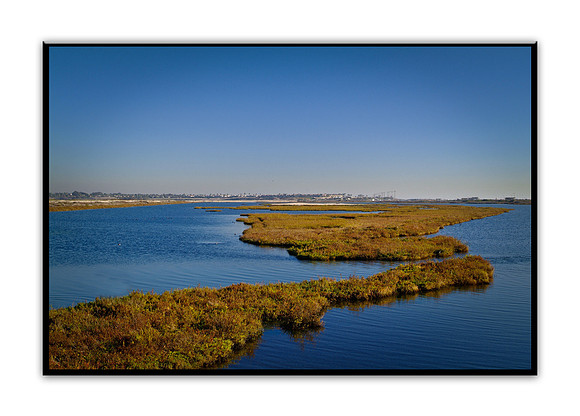 DSCF 9110 Bolsa Chica Ecological Reserve, CA